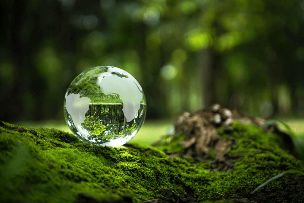 Embracing Sustainability: The Rise and Role of ESG in Modern&nbsp;Business